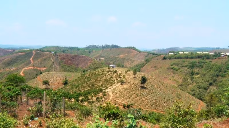 Sớm ổn định cuộc sống người dân vùng Thủy điện ở Đắk Glong -0