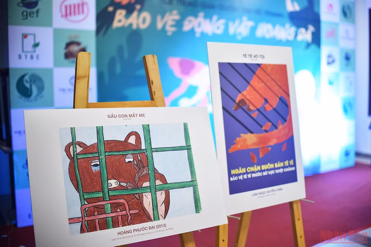 Nâng cao nhận thức bảo vệ động vật hoang dã ở giới trẻ -0