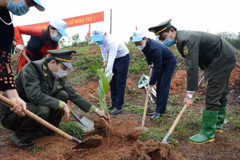 Yên Bái hưởng ứng Tết trồng cây đời đời nhớ ơn Bác Hồ -0