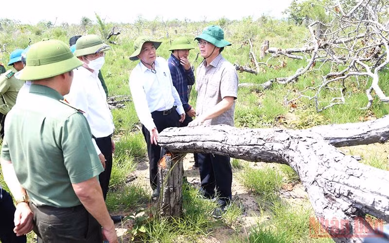 Kỷ luật cảnh cáo Chủ tịch và Phó Chủ tịch Ủy ban nhân dân xã Ya Tờ Mốt về vụ để mất 382,07ha rừng tự nhiên -0