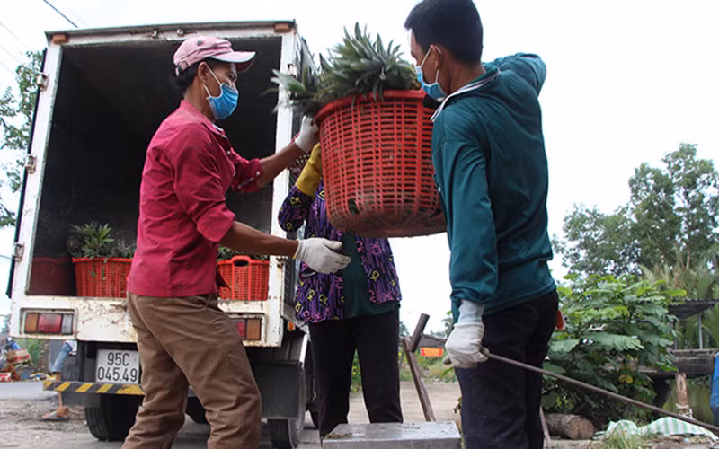 Hậu Giang: Thiết lập “vùng xanh”, hình thành hậu phương chống dịch -0
