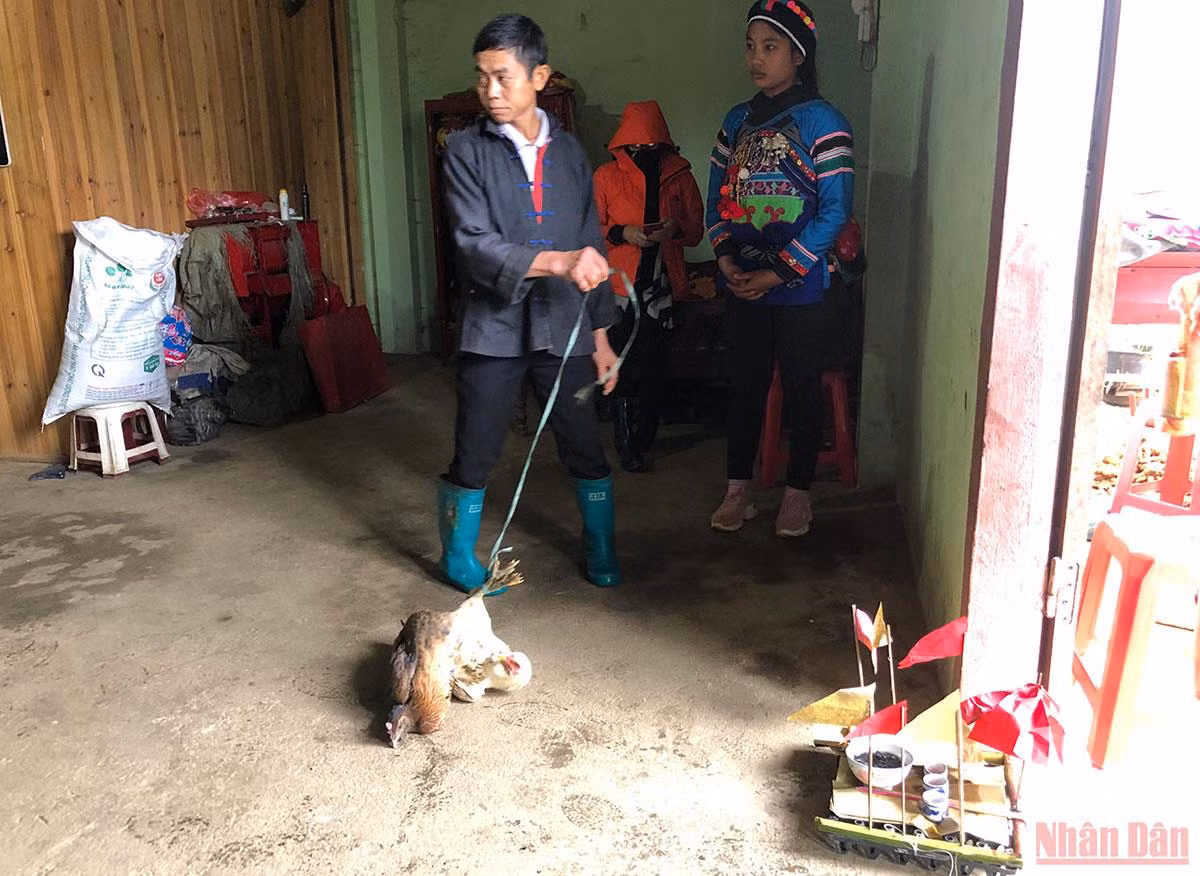 Vui nhộn lễ quét ma của người Phù Lá -0