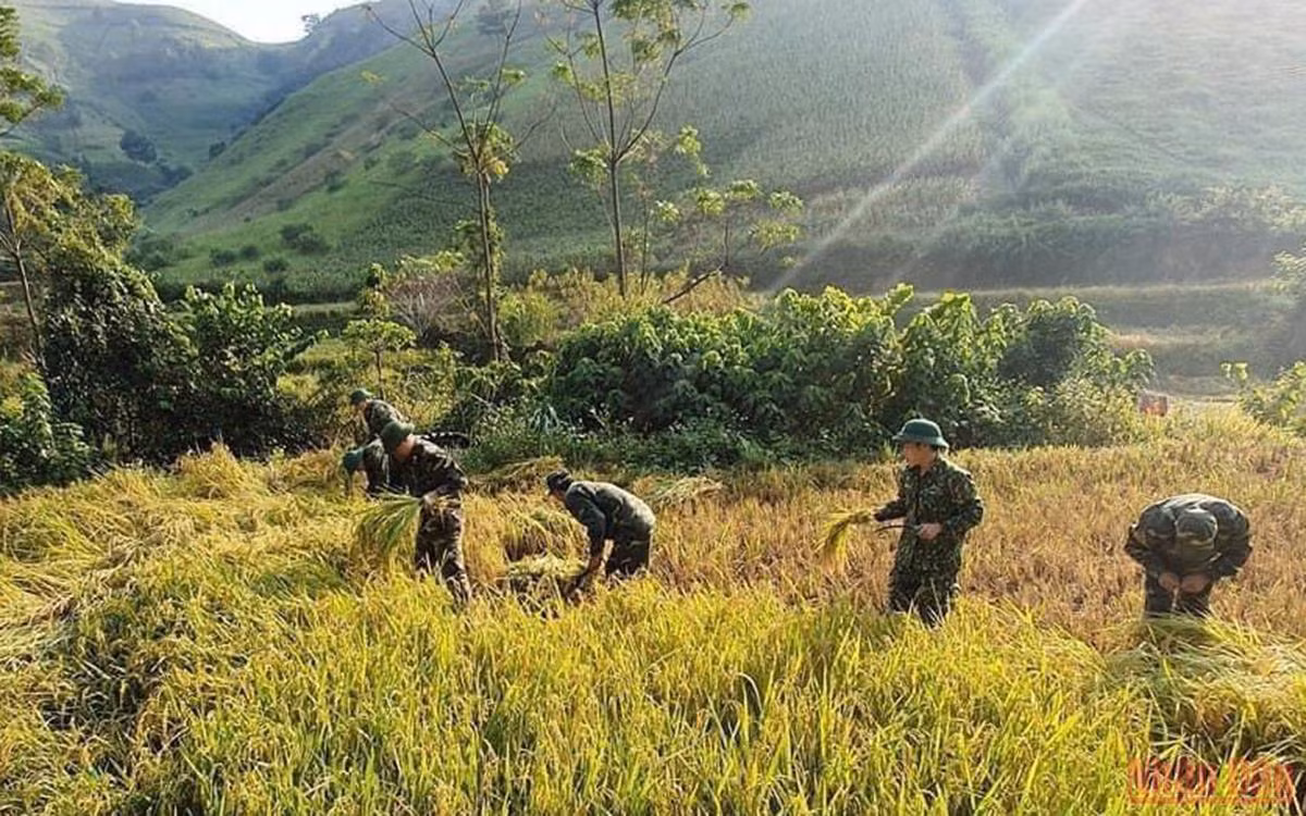 Tuổi trẻ biên phòng Sơn La xung kích vì cộng đồng -0