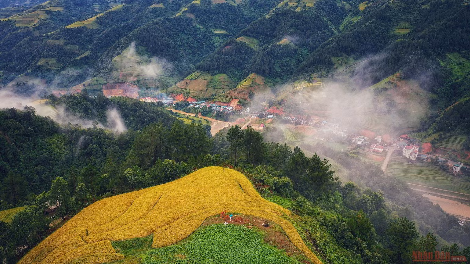 Mù Cang Chải mùa lúa chín -0