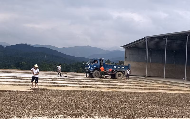 Thu hút đầu tư vào công nghiệp chế biến nông sản -0