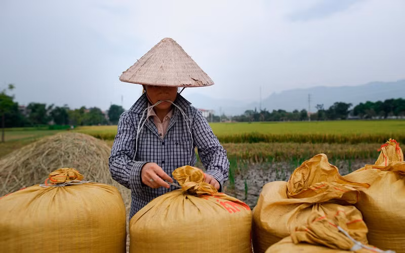 Một năm “quả ngọt” từ EVFTA -0