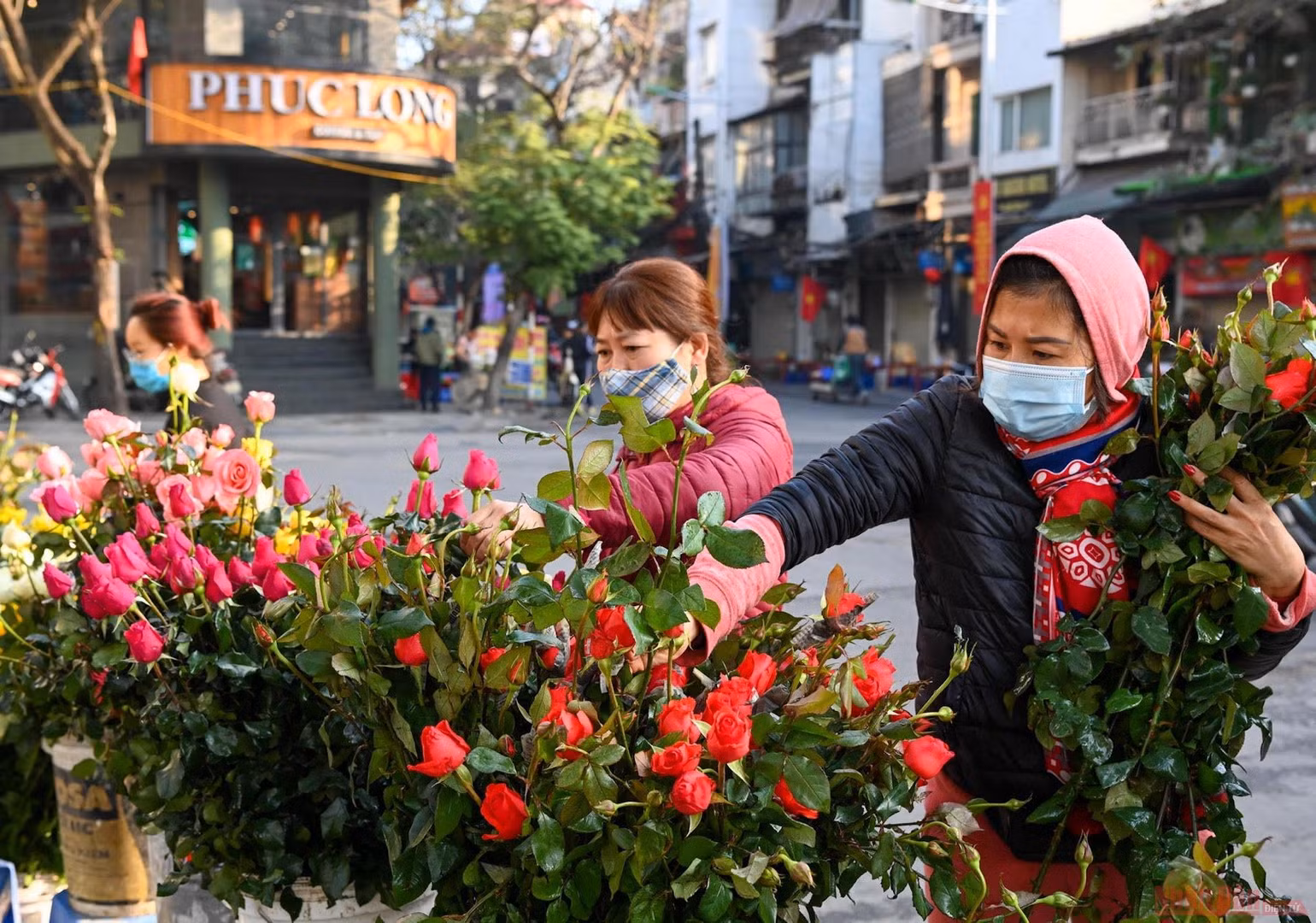 8_pho_co_Ha_NOi-1613017344581.jpg
