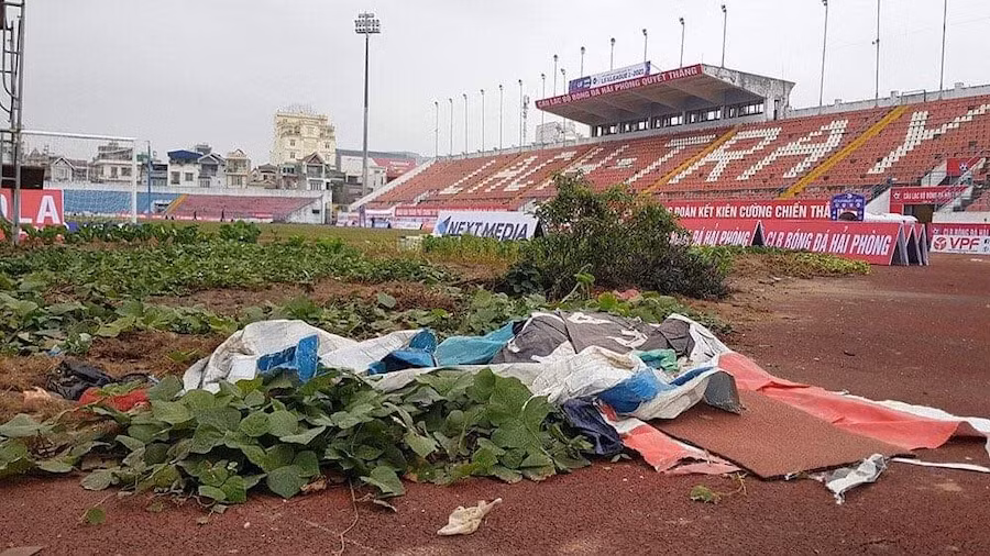 Chất lượng mặt sân ở V-League: Câu chuyện còn đau đáu -0