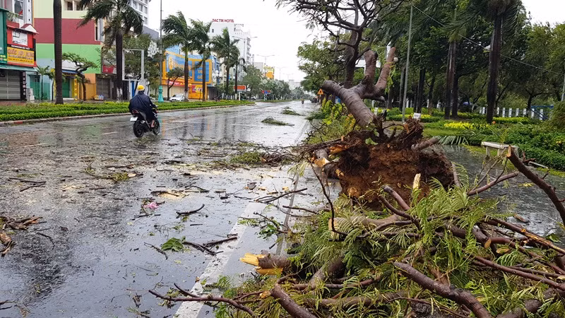 Bão số 9 gây mưa lớn, gió giật mạnh&nbsp;tại Phú Yên -0