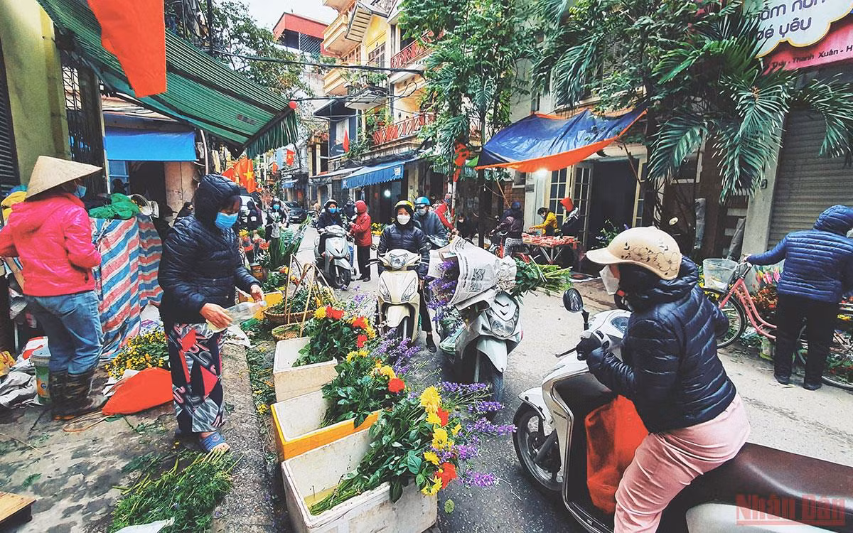 Giá cả thị trường bình ổn, không hiếm hàng, khan giá -0