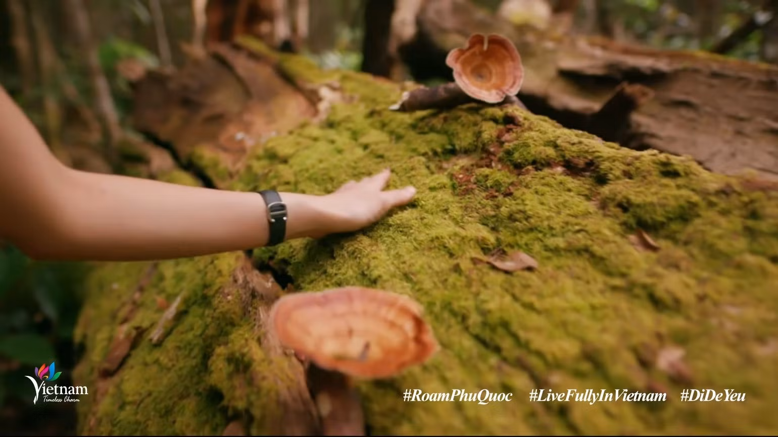 Du ngoạn Phú Quốc qua clip “Việt Nam: Đi Để Yêu! – Roam Phu Quoc” -0