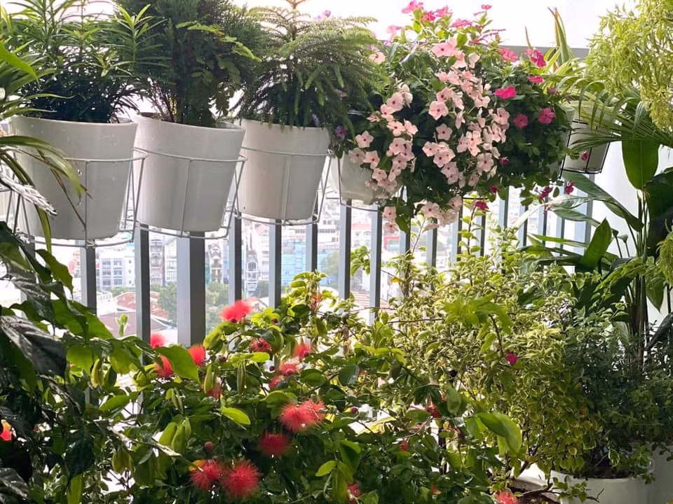 Trào lưu “phủ xanh” mạng xã hội và câu chuyện dễ thương đằng sau -0