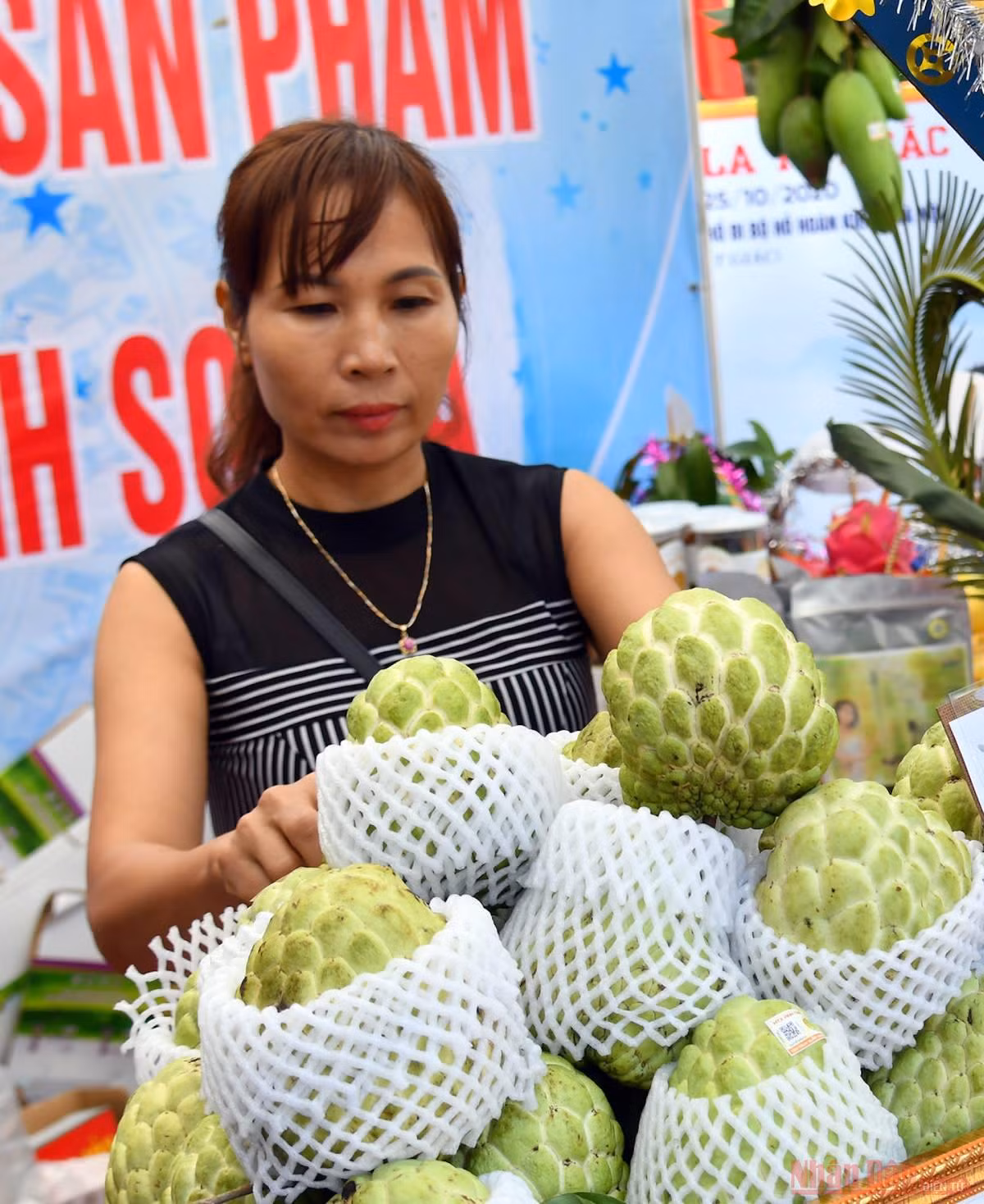 Sắc mầu Sơn La – Tây Bắc tại Hà Nội -0