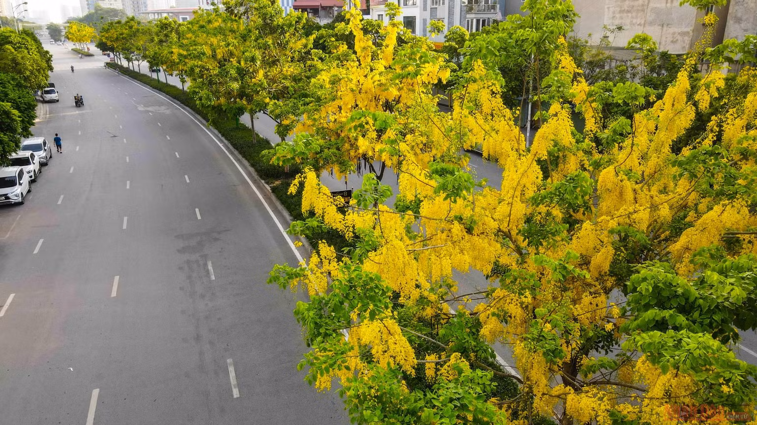 14_muong_hoang_yen_nn-1624076781760.jpeg