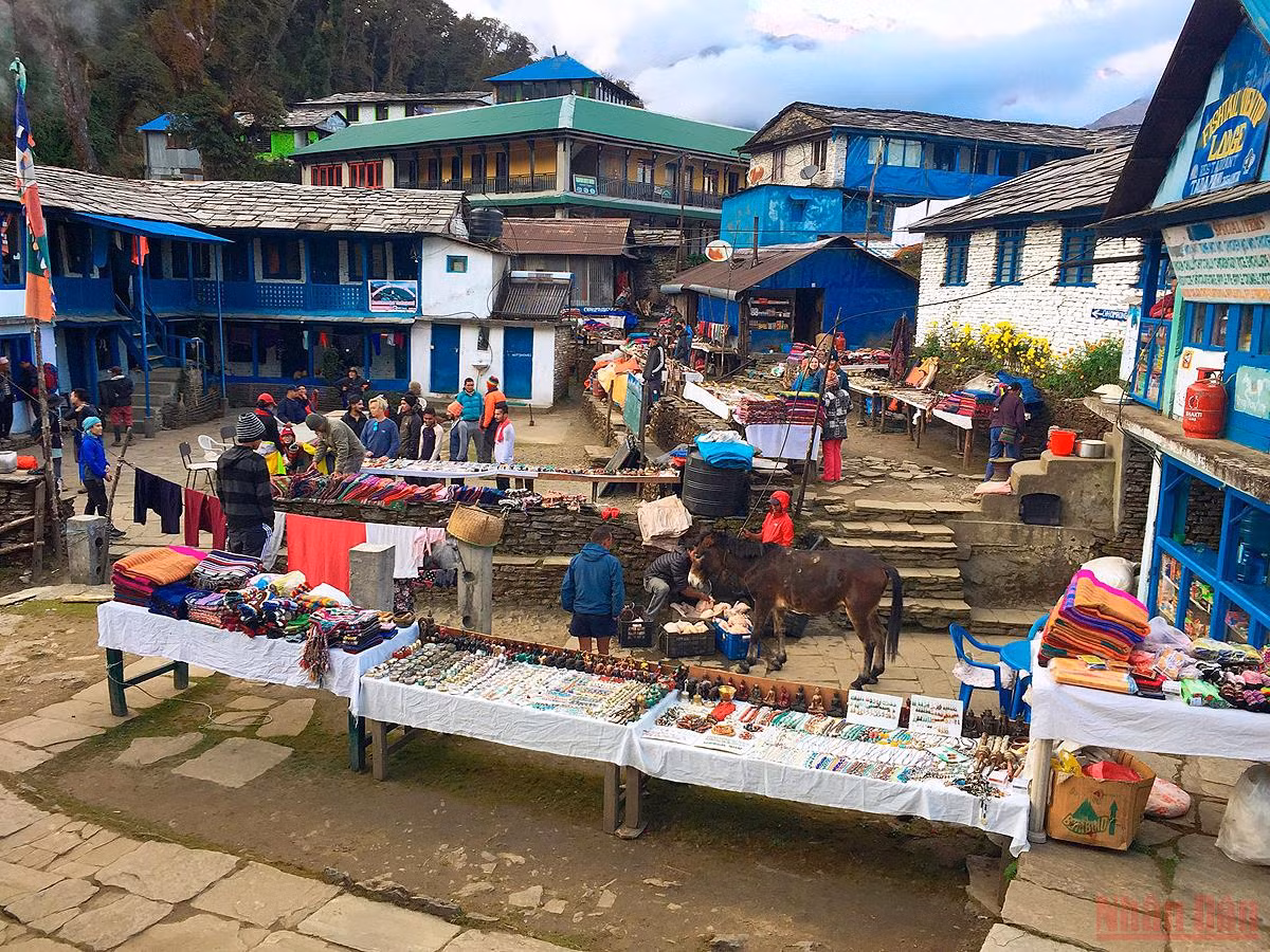 Sắc thu rực rỡ ở Nepal -2