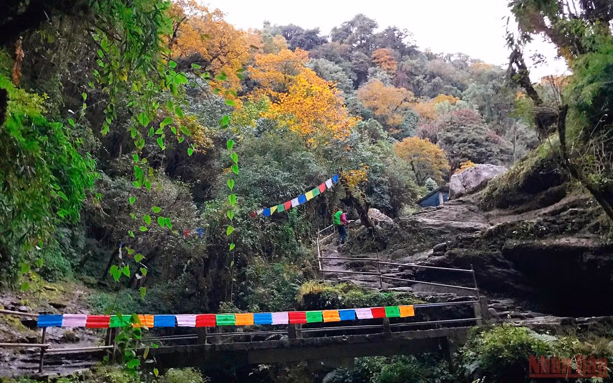Sắc thu rực rỡ ở Nepal -0