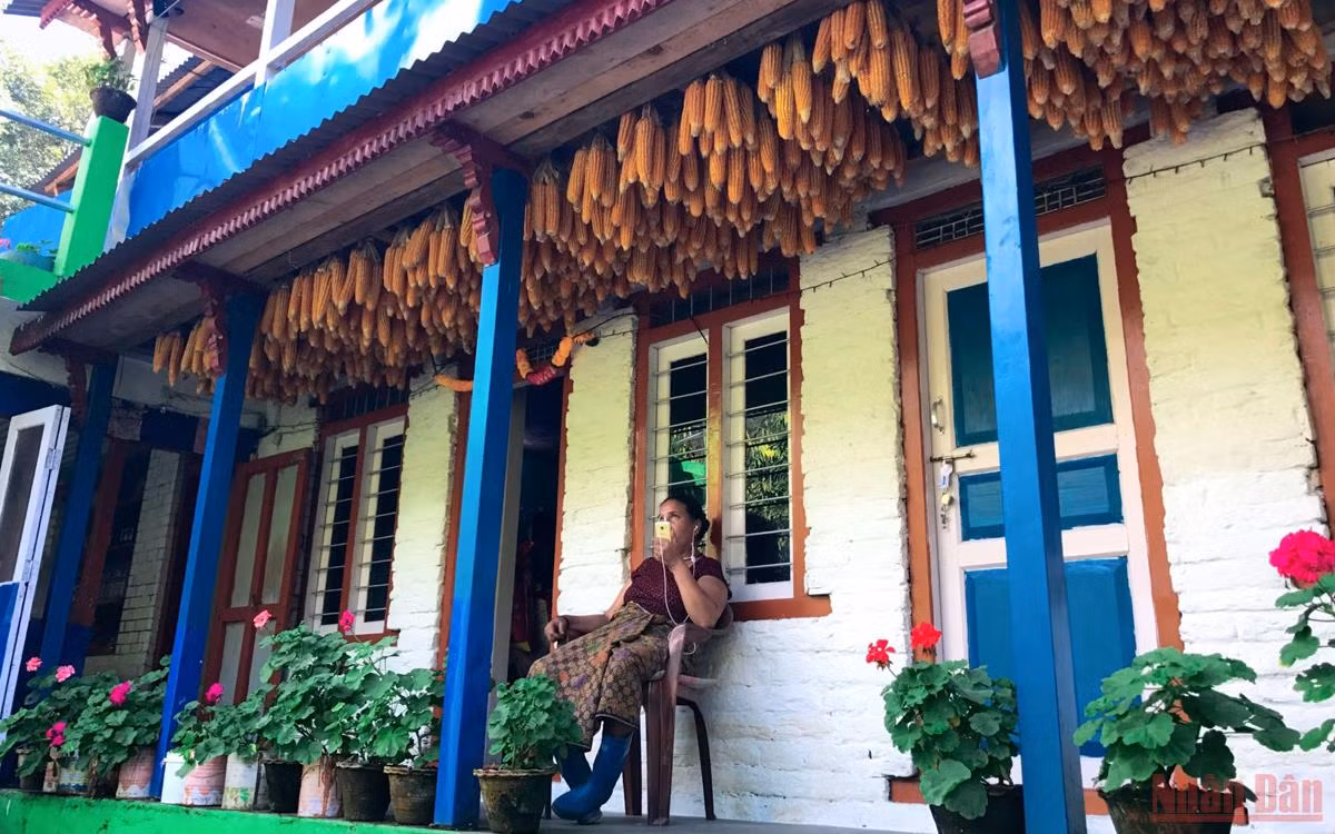 Sắc thu rực rỡ ở Nepal -1