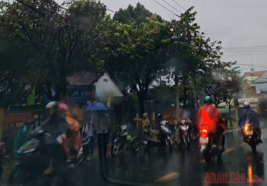 Bão giật cấp 16 vào vùng biển Đà Nẵng đến Phú Yên -0