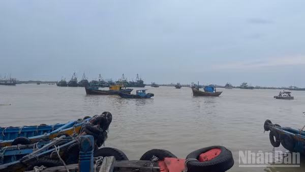 Cửa biển La Gi thường xuyên bồi lắng.