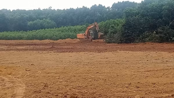 Diện tích bị bùn đất vùi lấp do sự cố đã cơ bản được cải tạo, làm đất tơi xốp, bằng phẳng để người dân tái sản xuất.