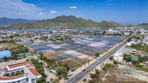 Cánh đồng muối tại phường Ninh Chữ, tỉnh Khánh Hòa.