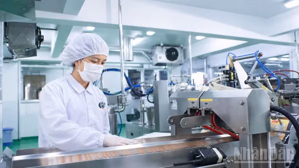 Ngành công thương Thành phố Hồ Chí Minh đạt nhiều kết quả tích cực trong 9 tháng năm 2026. (Ảnh: CTV)