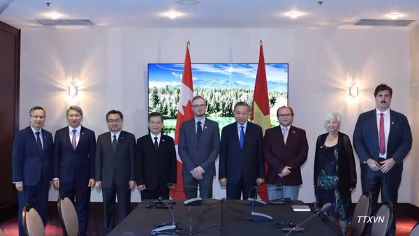 Tổng Bí thư, Chủ tịch nước Tô Lâm tiếp Tổng Bí thư Đảng Cộng sản Canada Drew Garvie. (Ảnh: Thống Nhất/TTXVN)