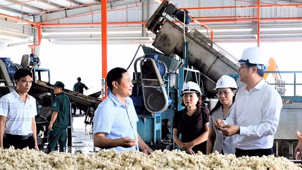 Đồng chí Lò Văn Cương (đầu tiên bên phải ảnh), Phó Chủ tịch Ủy ban nhân dân tỉnh Điện Biên kiểm tra sản xuất tại Nhà máy chế biến mủ cao-su Điện Biên. (Ảnh: LÊ LAN)