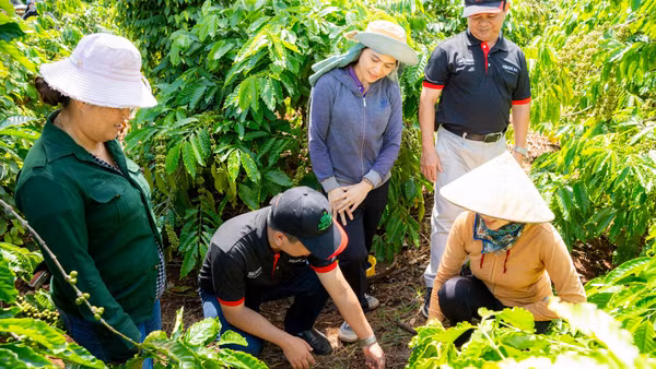 Cán bộ kỹ thuật NESCAFÉ Plan hướng dẫn nông dân thực hành cải tạo đất tại vườn cà-phê - một trong ba nhóm thực hành cốt lõi của mô hình nông nghiệp tái sinh.