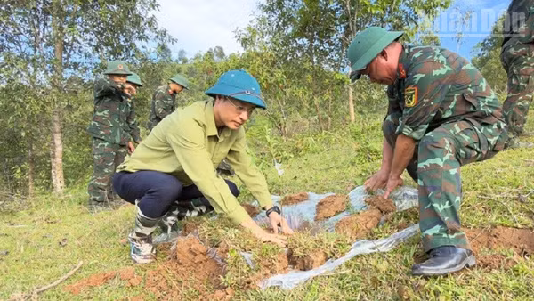 Đồng chí Đặng Thành Huy (bên trái), Bí thư Đảng ủy xã Sín Thầu (Điện Biên) cùng cán bộ, chiến sĩ lực lượng vũ trang giúp nhân dân bản Tá Miếu đào hố trồng cây ăn quả. (Ảnh: LÊ LAN)