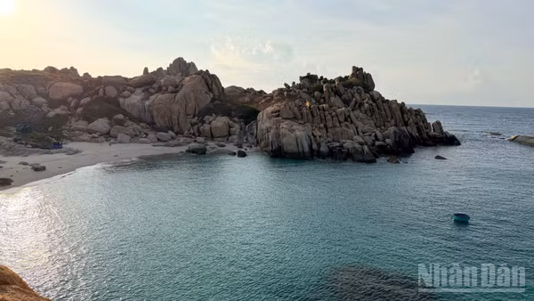 Đến với Hòn Cau, du khách có thể lặn ngắm san hô, chiêm ngưỡng nhiều loài thủy sinh vật quý hiếm.