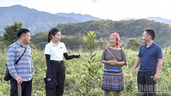 Người dân bản Nậm Pố 3, xã Mường Nhé vui mừng chia sẻ về niềm hy vọng giảm nghèo từ cây mắc-ca và cây cà-phê được trồng thay thế các loại cây truyền thống năng suất thấp. (Ảnh: LÊ LAN)