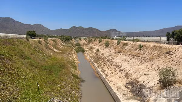 Kênh Tà Mú-Suối Măng-Cây Cà hoạt động chưa hiệu quả.