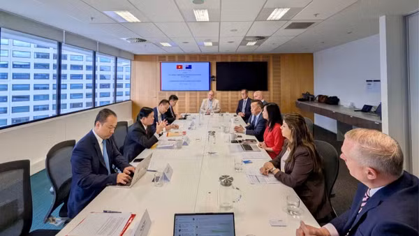 Đoàn công tác làm việc tại Hội đồng Doanh nghiệp ASEAN-New Zealand. (Ảnh: Ban Chính sách, chiến lược Trung ương)