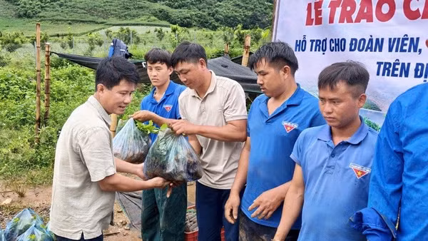 Lãnh đạo xã Pú Nhung (tỉnh Điện Biên) trao cây giống cà-phê hỗ trợ các đoàn viên hoàn cảnh khó khăn để trồng, mở rộng diện tích.