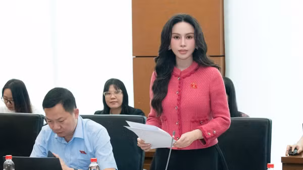 Đại biểu Lê Nữ Thùy Dương (Đoàn thành phố Đồng Nai) phát biểu tại tổ. (Ảnh: TL)