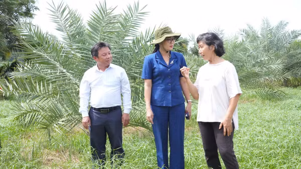 Bí thư Đảng ủy xã Hàm Thuận Nam Nguyễn Minh Hoàng (áo xanh) khảo sát tình hình xã hội tại cơ sở. (Ảnh: HOÀNG VÂN)