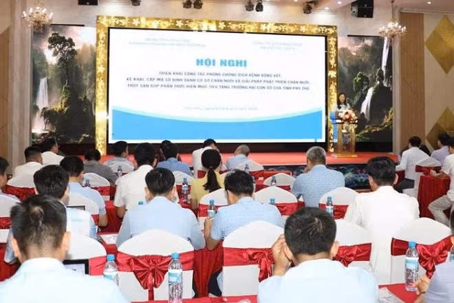 Các đại biểu tham dự hội nghị.