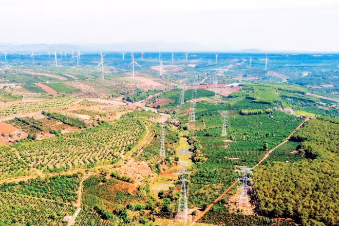Các đường dây 220kV và 500kV tiếp nhận nguồn năng lượng tái tạo tại địa phương do Truyền tải điện Gia Lai, Công ty Truyền tải điện 3 quản lý vận hành.