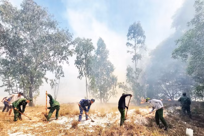 Tỉnh Quảng Trị hiện có khoảng 250.000ha rừng có nguy cơ cháy cao, tập trung chủ yếu ở vùng cát ven biển.