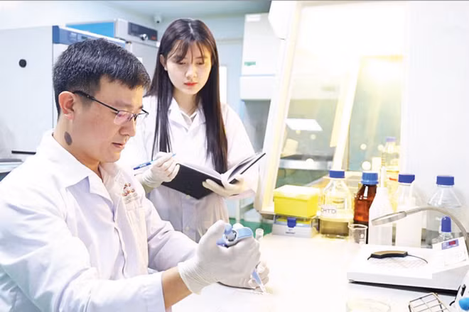 Tiến sĩ Lê Văn Nhân hướng dẫn đồng nghiệp kiểm tra các hợp chất trong cao chiết lá cây mật gấu (Ảnh: MINH ĐỨC)