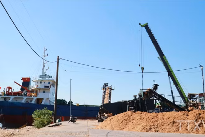 Sản phẩm dăm gỗ của Công ty Tiến Phong, xã Cửa Việt, tỉnh Quảng Trị được chuyển lên tàu để xuất khẩu. (Ảnh: TTXVN)