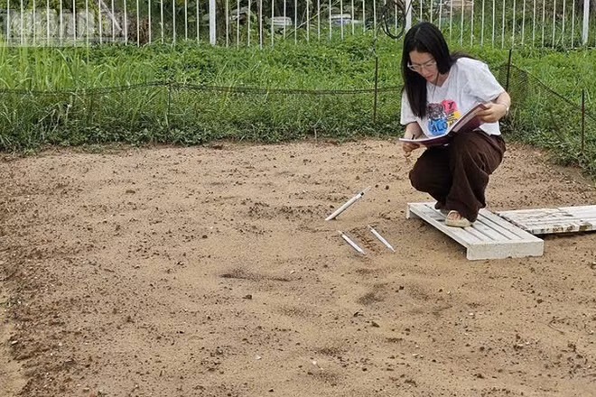 Nhân viên cơ quan khí tượng thủy văn Thanh Hóa đo độ ẩm trong đất. (Ảnh: Mai Luận)