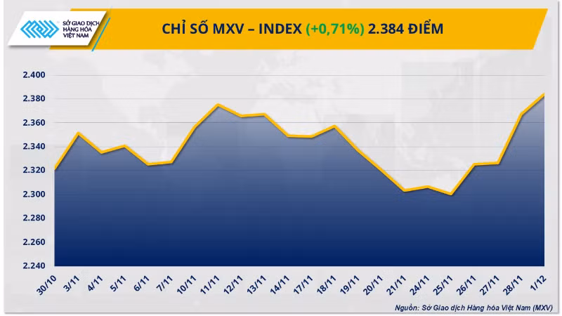 mxv-index-12-6597.png