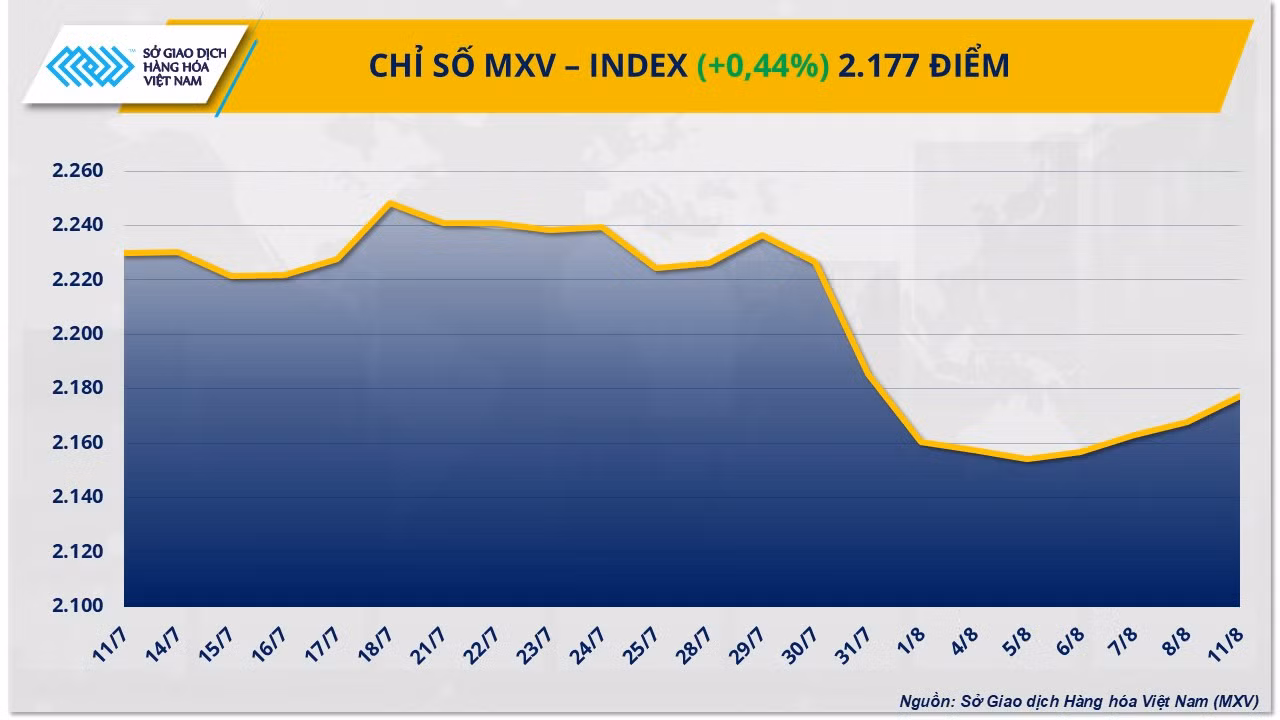 mxv-index-13.png