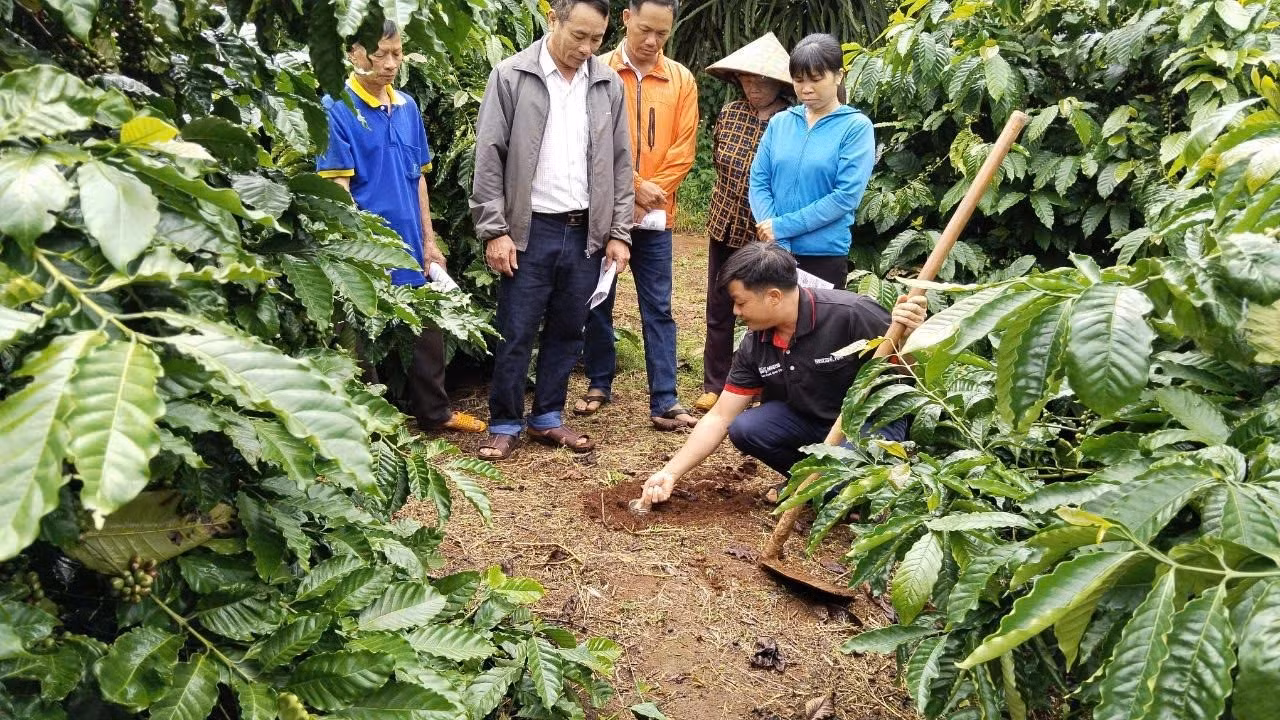 Nông dân tham gia Chương trình NESCAFÉ Plan được tập huấn phương pháp canh tác bền vững.