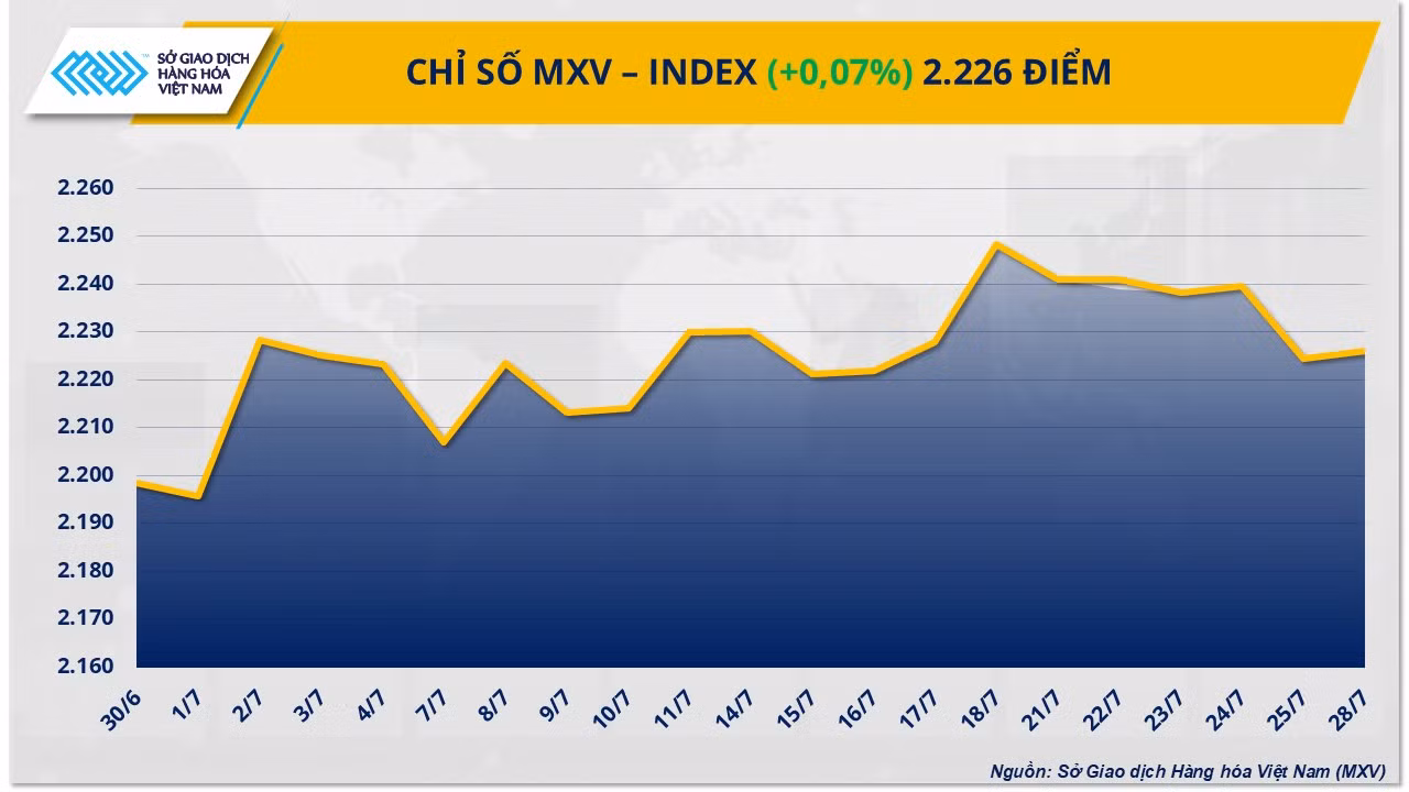 mxv-index-12.png