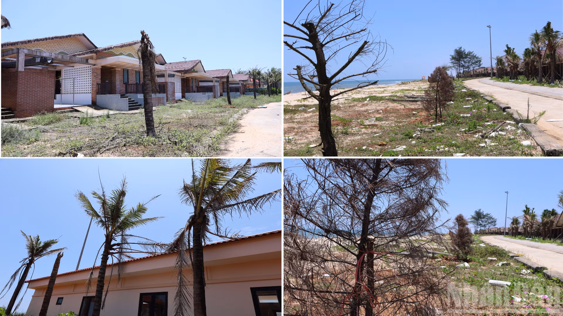 ndo_br_thiet-ke-chua-co-ten-1.png