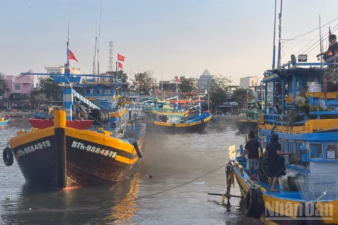 Đến năm 2030, tỉnh sẽ còn khoảng 7.200 tàu cá.