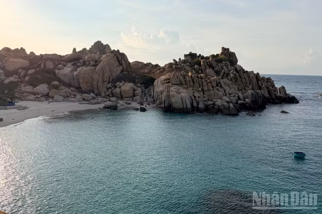 Đến với Hòn Cau, du khách có thể lặn ngắm san hô, chiêm ngưỡng nhiều loài thủy sinh vật quý hiếm.